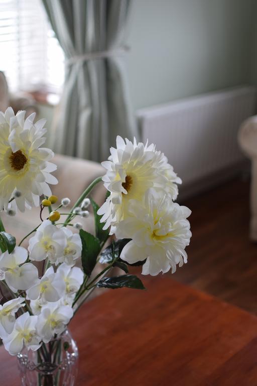 Fernhill House Bed & Breakfast